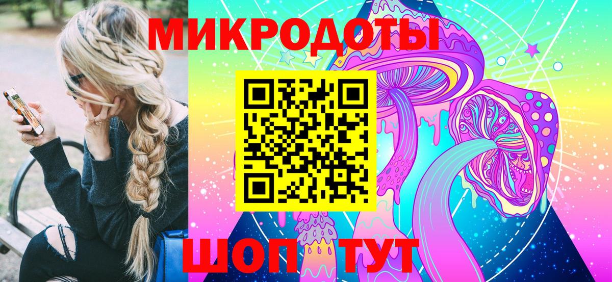 Псилоцибиновые грибы Psilocybine cubensis Гудермес