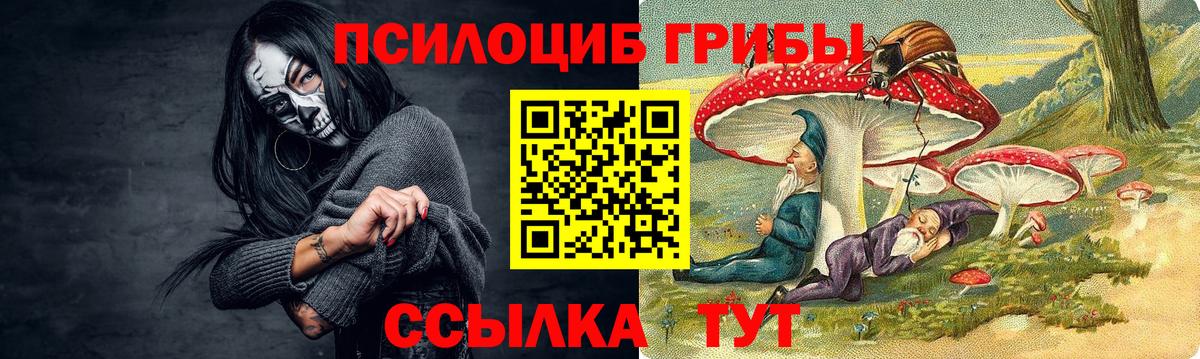 где найти наркотики  Галлюциногенные грибы мухоморы  Гудермес  Вход с VPN  Галлюциногенные грибы мухоморы 