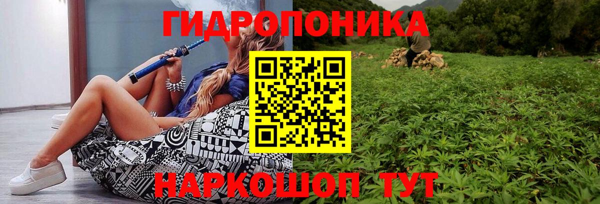 Бошки марихуана Amnesia  Вход с VPN  Шишки марихуана White Widow  Марихуана индика  Гудермес  Конопля White Widow 